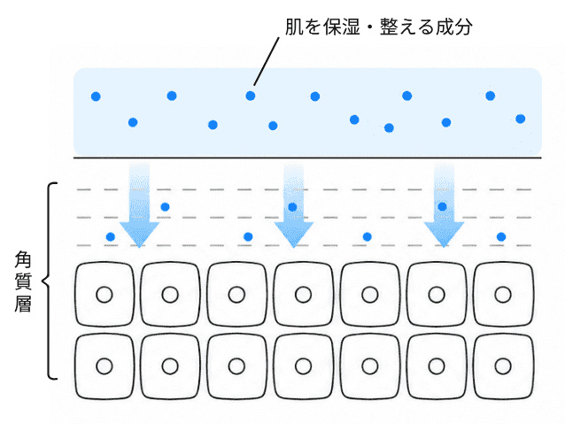 従来：肌を保湿・整える成分が肌表面にとどまり、角質層まで届きにくい様子の図