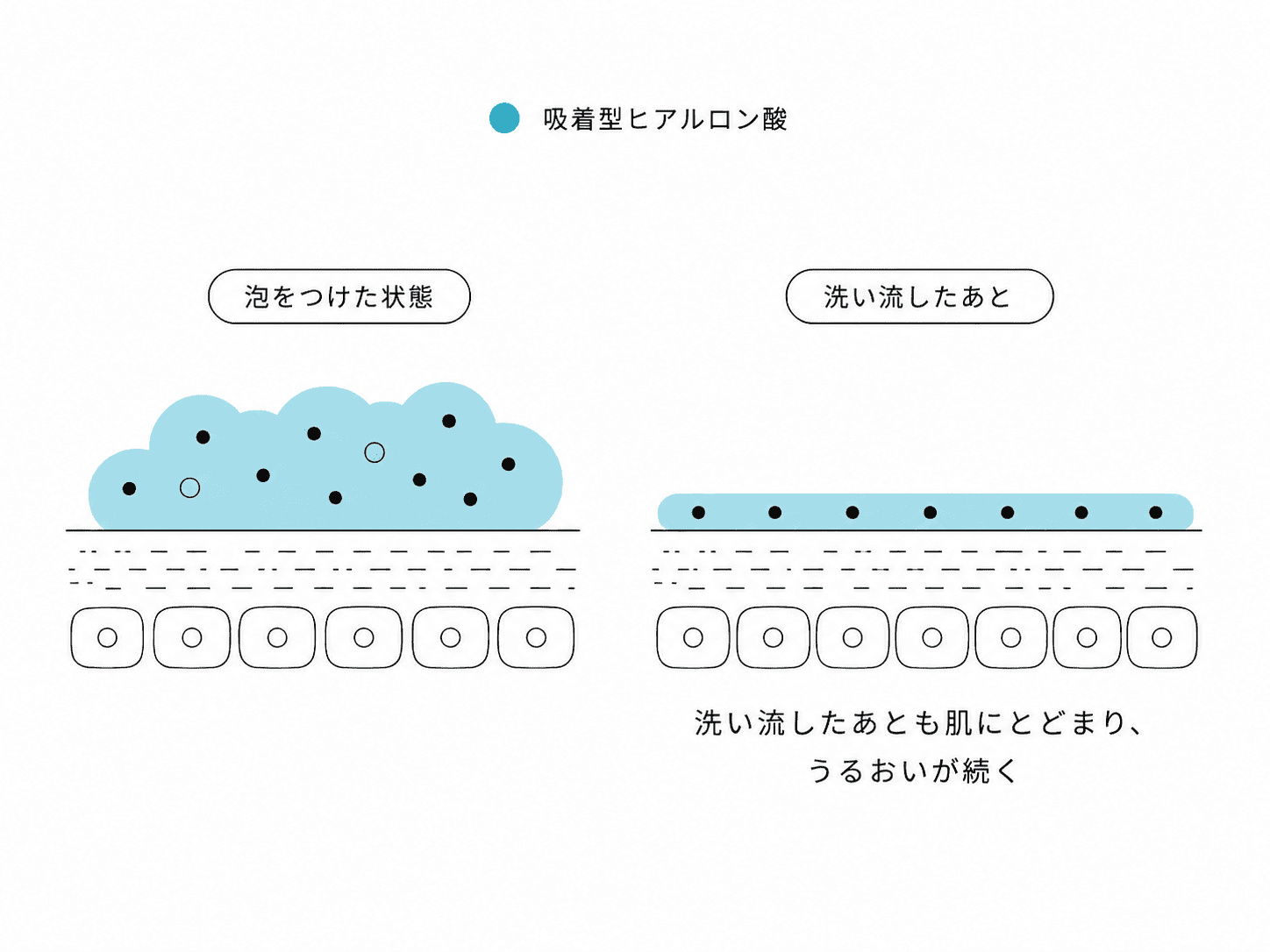洗い流したあとも肌にとどまりうるおいが続く、吸着型ヒアルロン酸のイメージ図