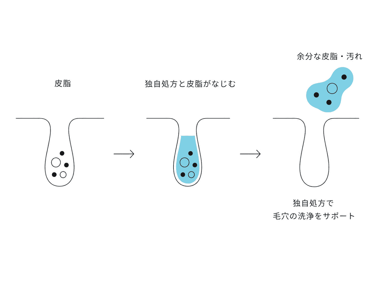 独自の洗顔技術が毛穴の皮脂・汚れを落とす仕組みを示す図