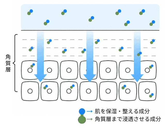 独自浸透技術：肌を保湿・整える成分と、角質層まで浸透させる成分が、角質層まで届く様子の図