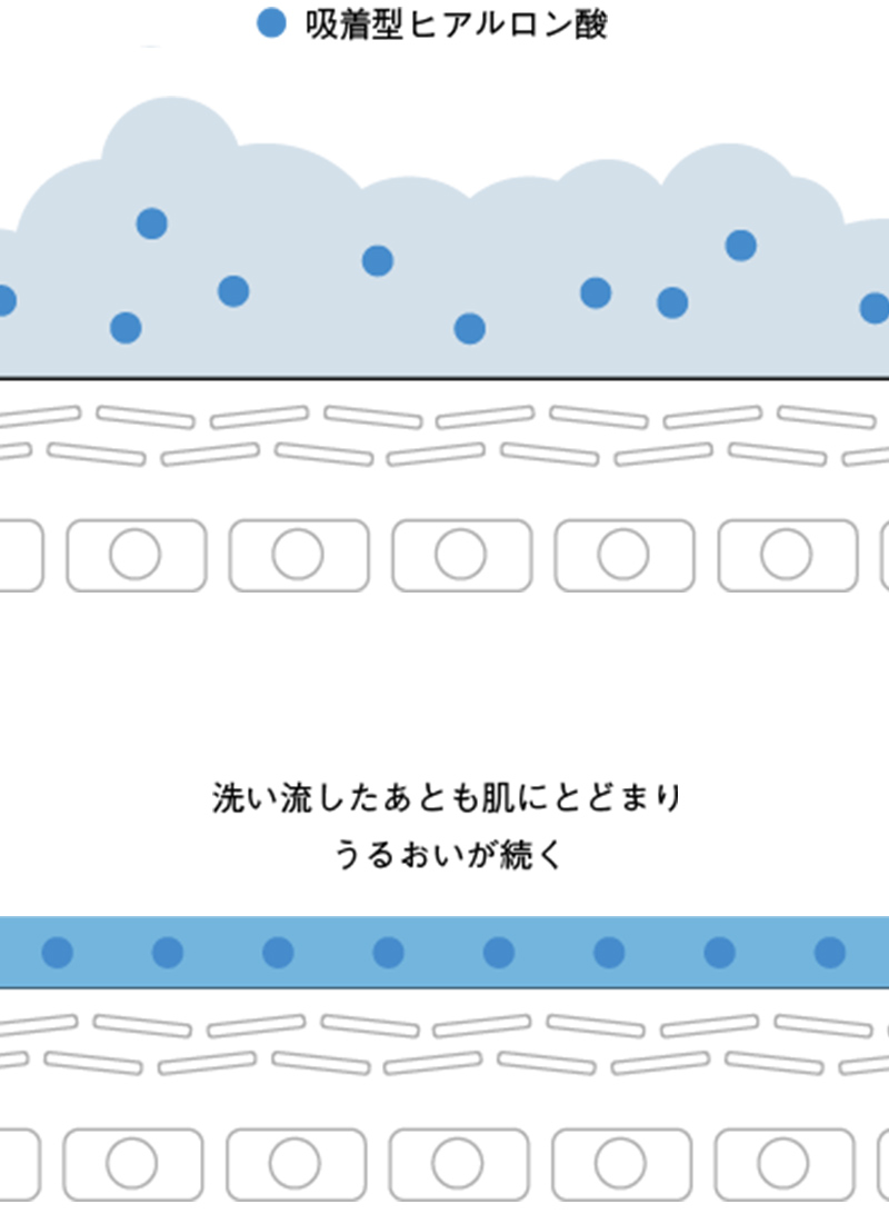 吸着型ヒアルロン酸