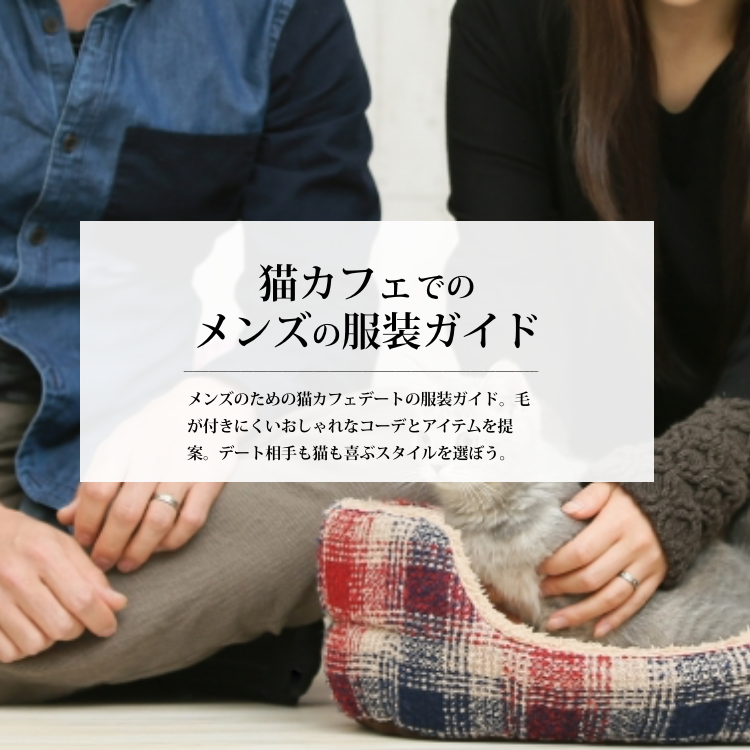 猫カフェでのデート成功の秘訣：メンズの服装ガイド