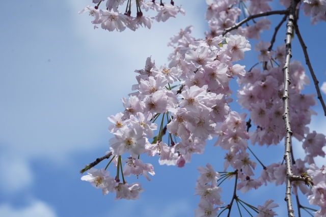 春のお見合い服装ポイント