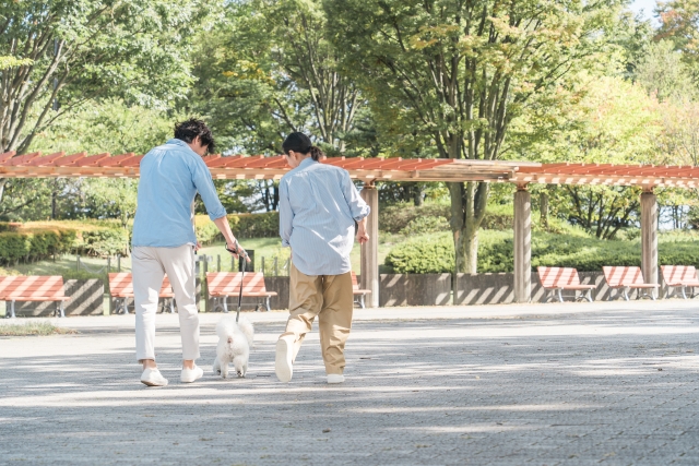 公園で犬の散歩をする男女