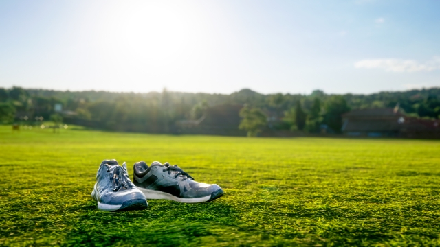 オニツカタイガーが人気の理由